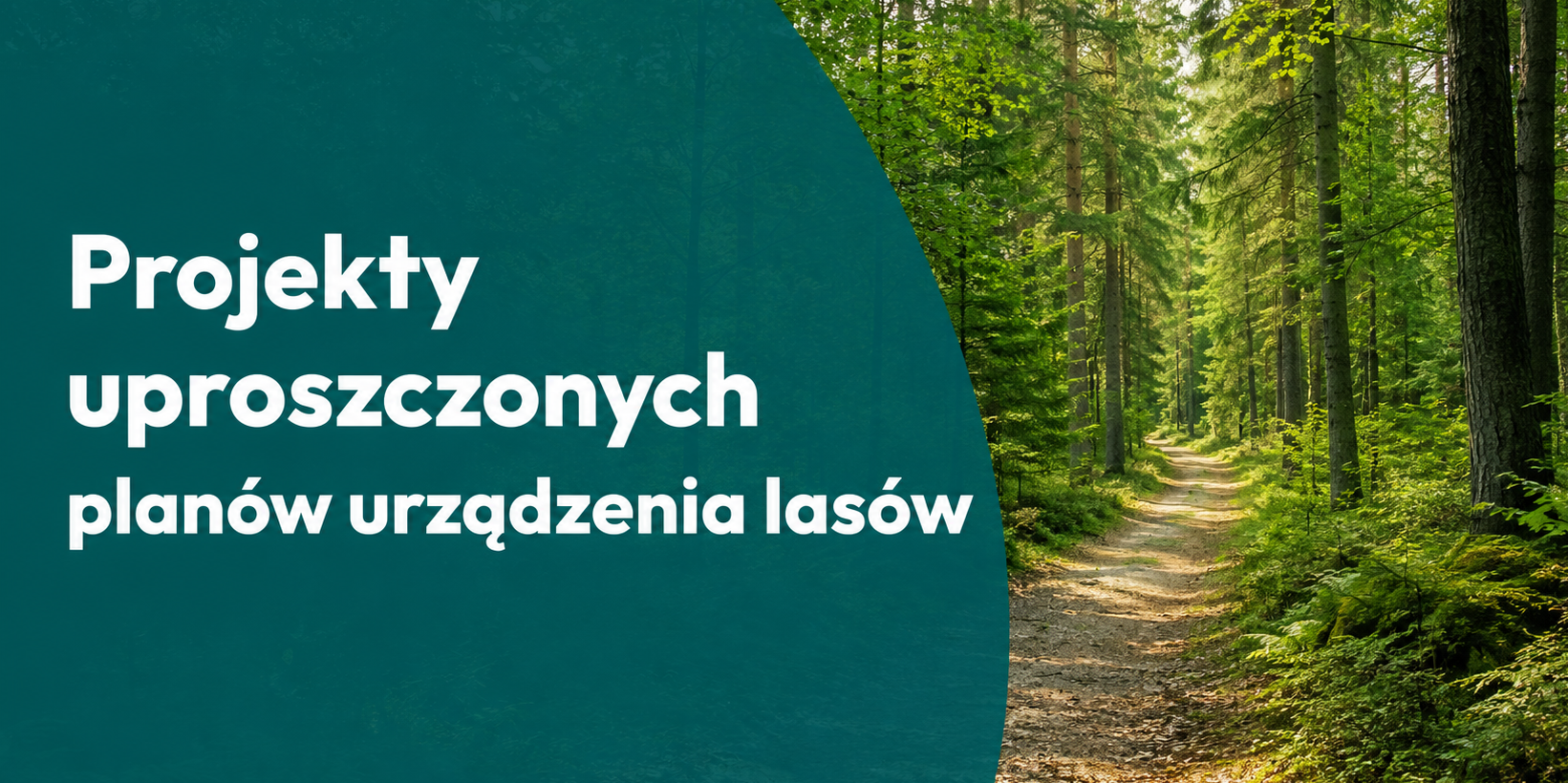 Projekty uproszczonych planów urządzenia lasów Informujemy, że do 31 lipca br. w Urzędzie Miejskim w Mosinie, zostaną wyłożone projekty uproszczonych planów urządzenia lasów. Czytaj więcej