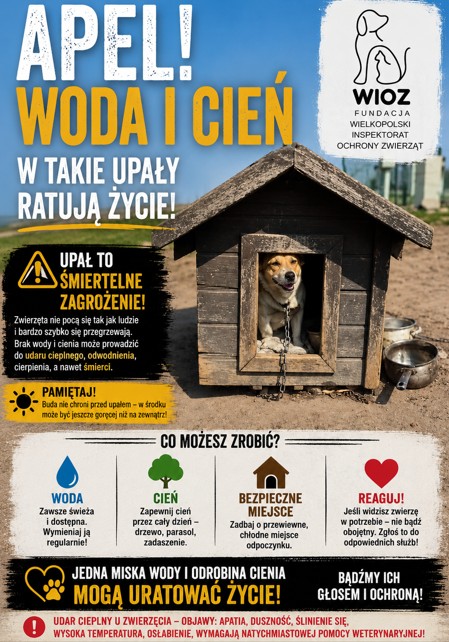 Lato w pełni! Pamiętajmy o naszych pupilach - Dla mieszkańca - Urząd Miejski w Kostrzynie