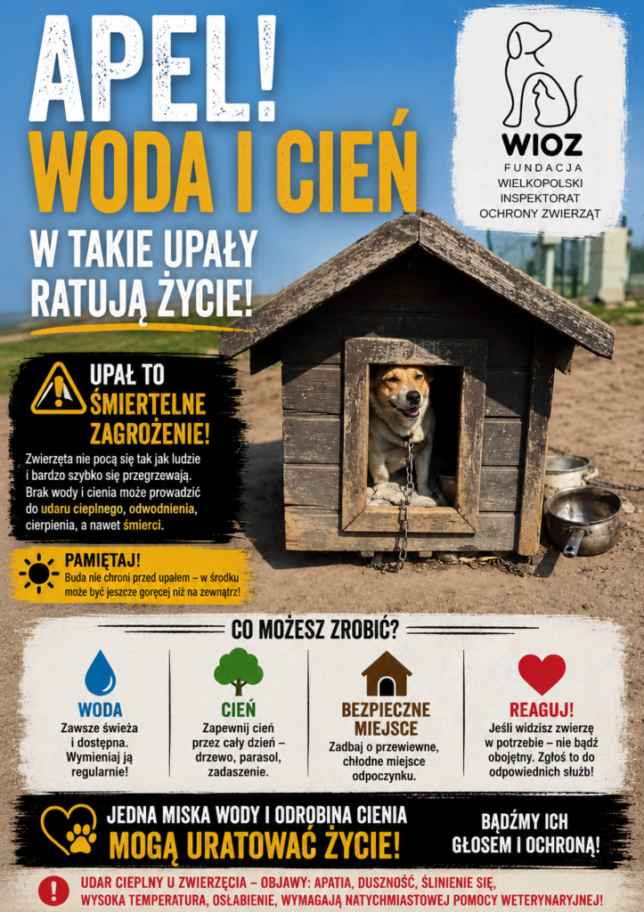 Apel WIOZ – Chroń zwierzęta podczas upałów! - Miasto i Gmina Buk