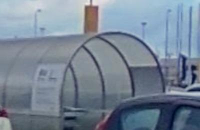 Zdjęcie z taksonomii