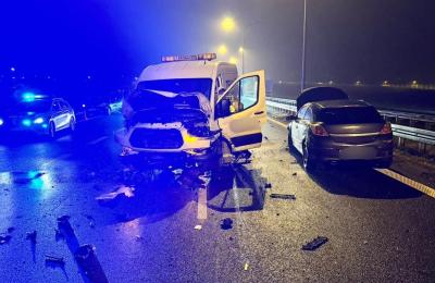 Zdjęcie z taksonomii