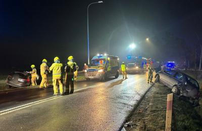 Zdjęcie z taksonomii