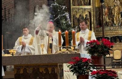 Zdjęcie z taksonomii