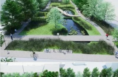 Zdjęcie z taksonomii