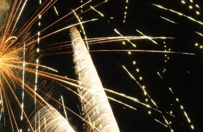 Zdjęcie z taksonomii