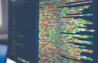 Zdjęcie z taksonomii