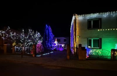 Zdjęcie z taksonomii