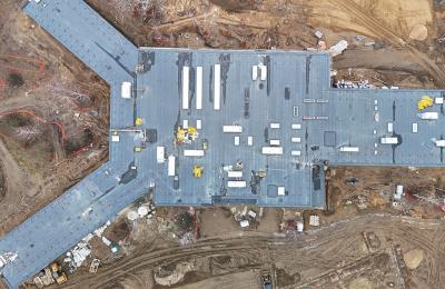 Zdjęcie z taksonomii