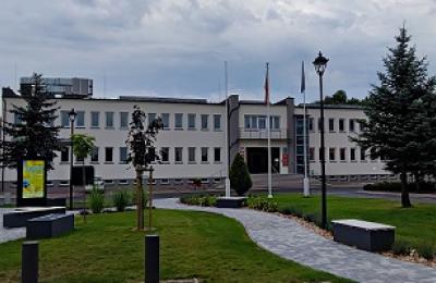 Zdjęcie z taksonomii