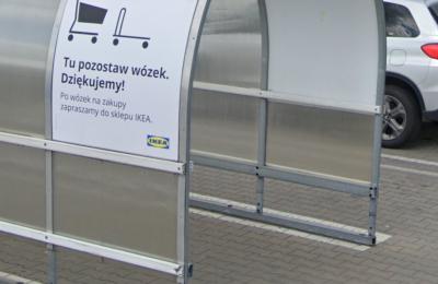 Zdjęcie z taksonomii