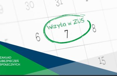 Zdjęcie z taksonomii