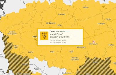 Zdjęcie z taksonomii