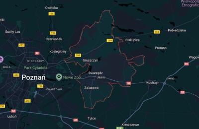 Zdjęcie z taksonomii