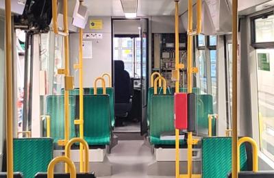 Zdjęcie z taksonomii