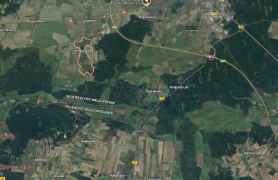 Zdjęcie z taksonomii