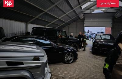 Zdjęcie z taksonomii