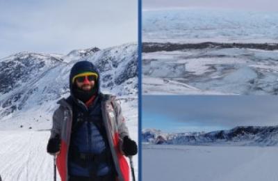 Zdjęcie z taksonomii