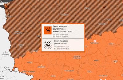 Zdjęcie z taksonomii