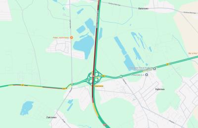 Zdjęcie z taksonomii