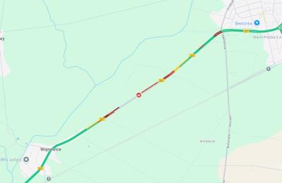 Zdjęcie z taksonomii