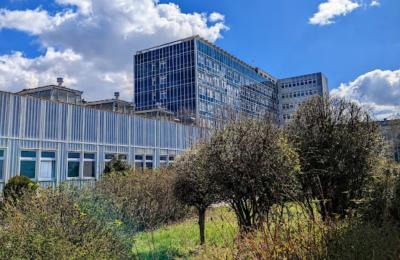 Zdjęcie z taksonomii