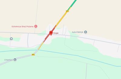 Zdjęcie z taksonomii