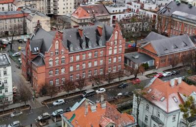 Zdjęcie z taksonomii