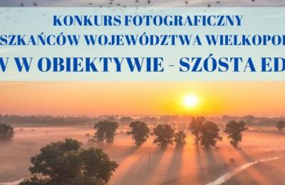 Zdjęcie z taksonomii