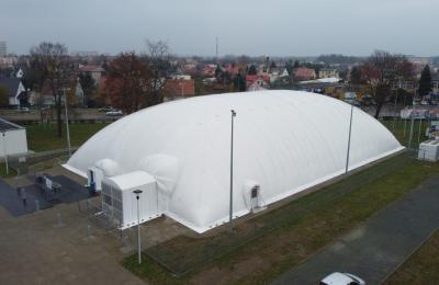 Zdjęcie z taksonomii