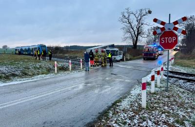 Zdjęcie z taksonomii