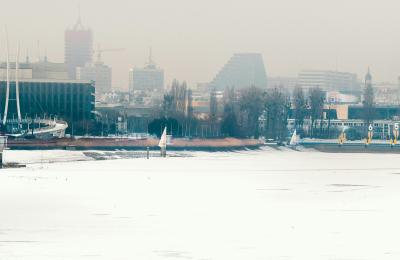 Zdjęcie z taksonomii