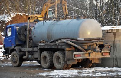 Zdjęcie z taksonomii