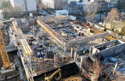 Zdjęcie z taksonomii