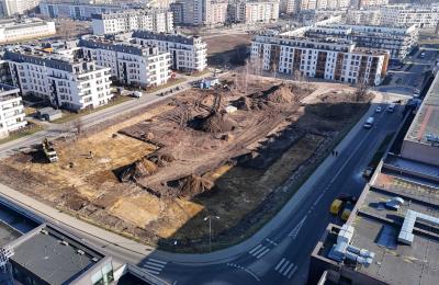 Zdjęcie z taksonomii