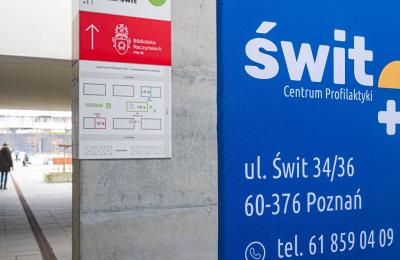 Zdjęcie z taksonomii