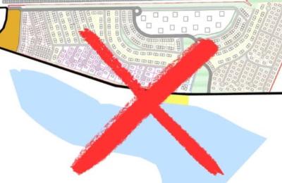 Zdjęcie z taksonomii