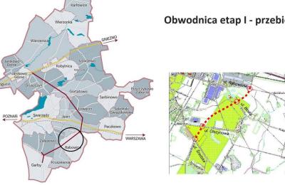 Zdjęcie z taksonomii