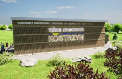 Zdjęcie z taksonomii