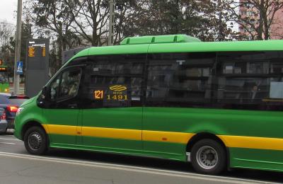 Zdjęcie z taksonomii