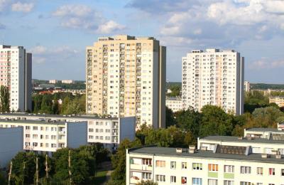 Zdjęcie z taksonomii