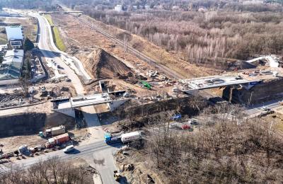 Zdjęcie z taksonomii