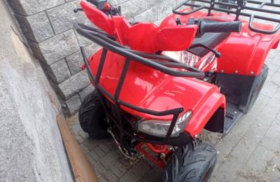 Zdjęcie z taksonomii