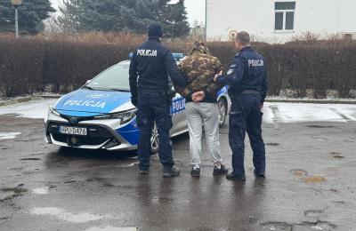 Zdjęcie z taksonomii