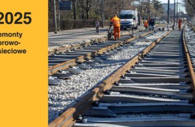 Zdjęcie z taksonomii