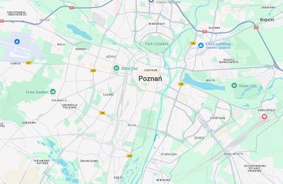 Zdjęcie z taksonomii