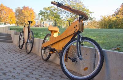 Zdjęcie z taksonomii