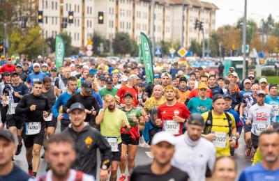 Zdjęcie z taksonomii