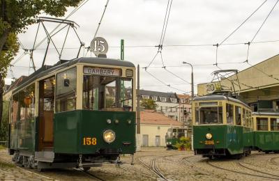 Zdjęcie z taksonomii