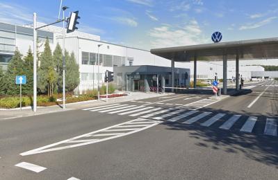 Zdjęcie z taksonomii