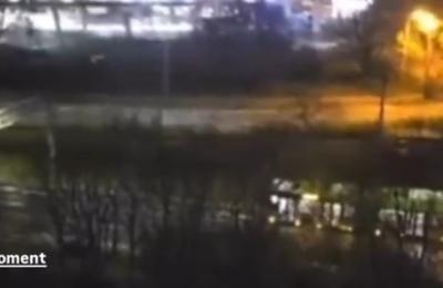 Zdjęcie z taksonomii